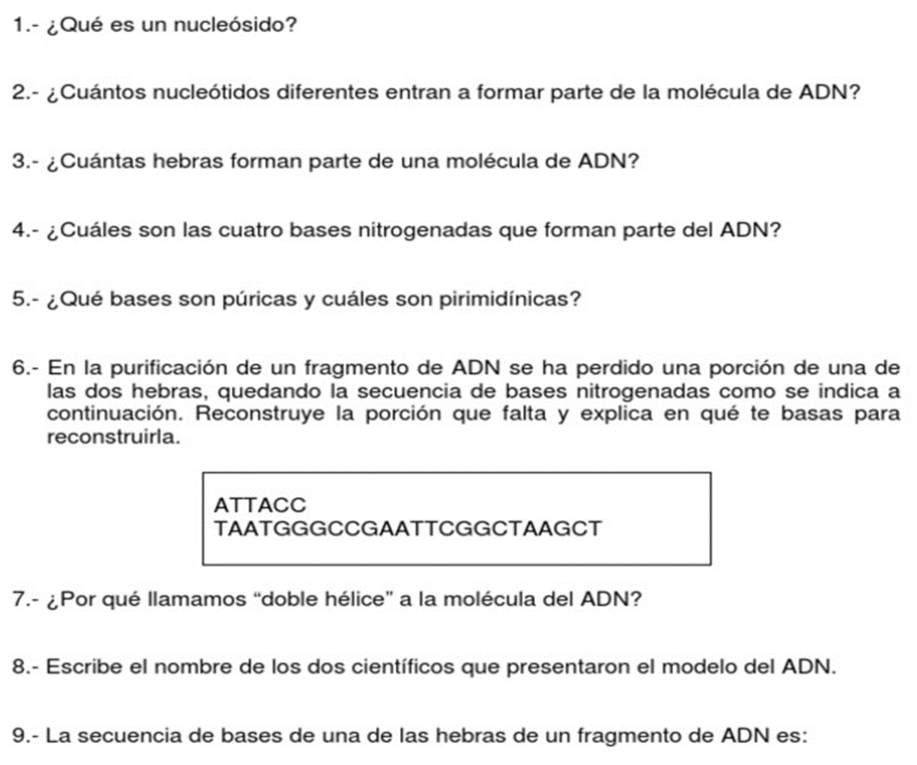 ADN image